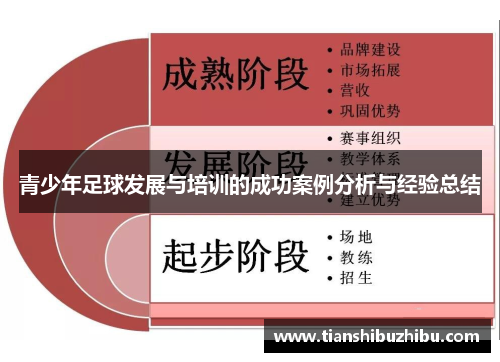 青少年足球发展与培训的成功案例分析与经验总结